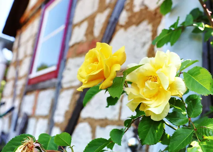 Ferienhaus Haus Im Grünen Bad Liebenstein